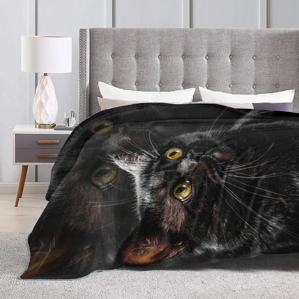 Black Cat Throw Blanket Soft Cozy Plush Warm Fleece Blanket for Sofa Couch Bed