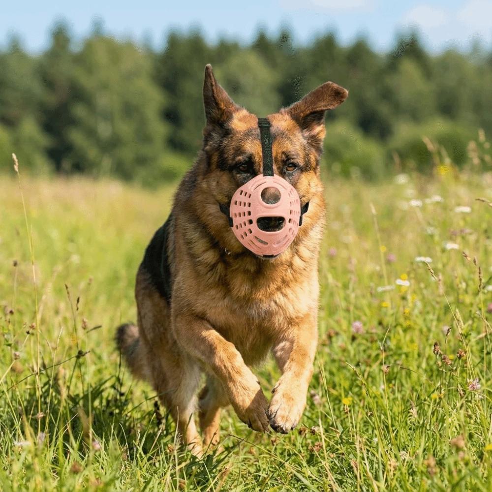 Anti-barking Anti Bite Dog Mouth Cover Adjustable Dog Mouth Guard Pet Muzzle  Dog Accessories