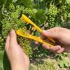 2Pcs Ergonomic Grip Grape Flower Thinning Tool Precise Trimming Vine Bud Comb  Farm Gardening