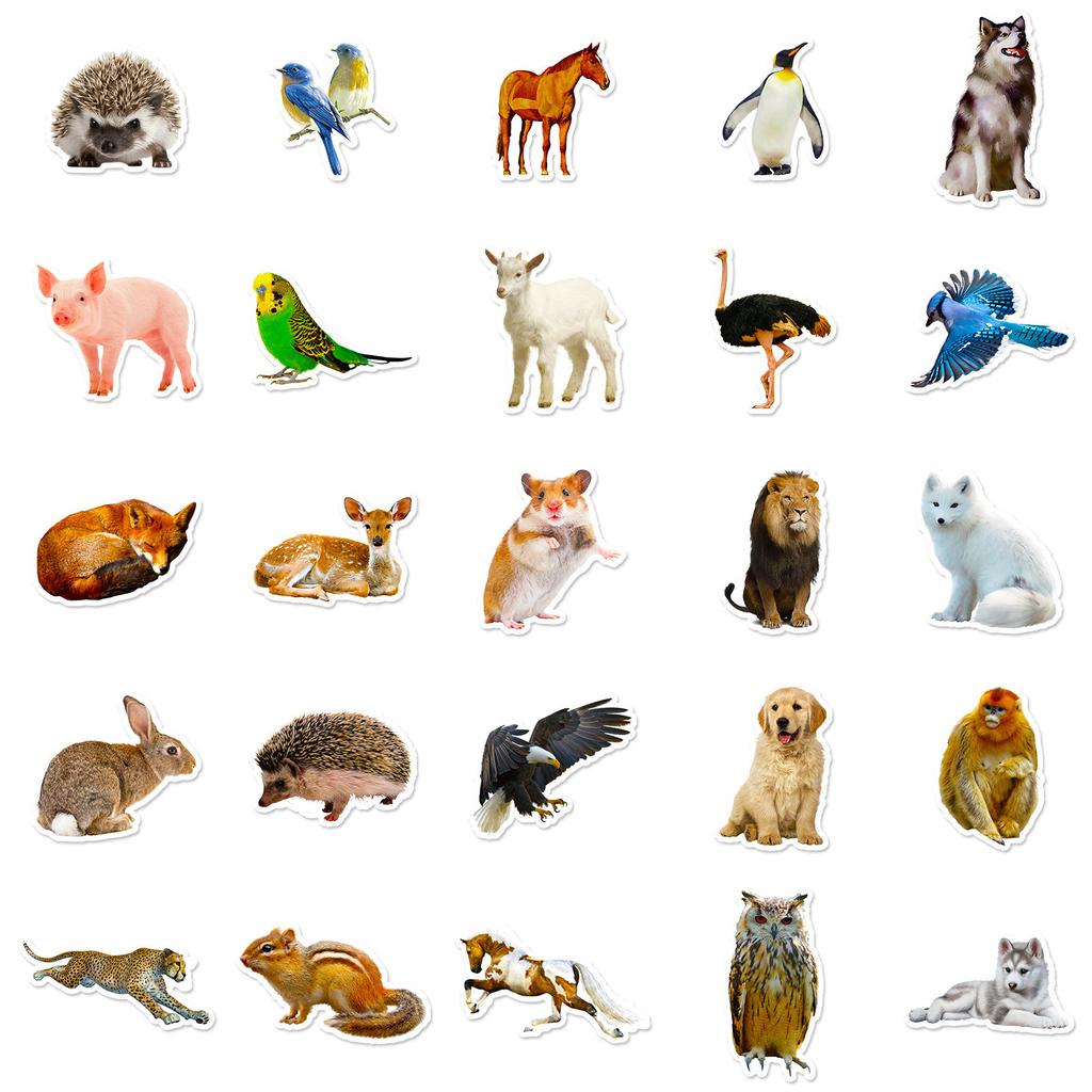 50 Animal Cartoon Luggage Stickers Waterproof Graffiti Stickers Scooter Computer Tablet Cartoon Decorative Stickers