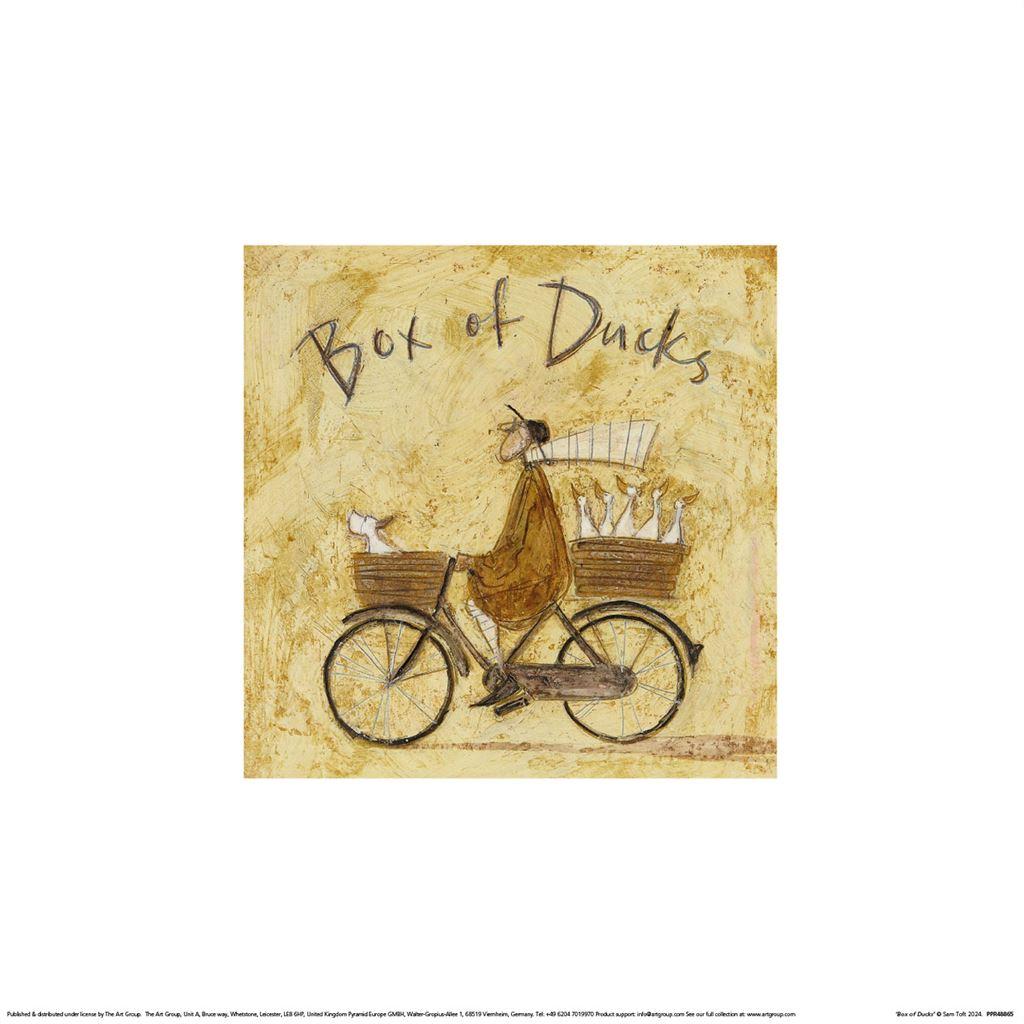 Sam Toft Box Of Ducks Poster