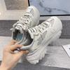 Platform dad shoes women's 2025 new autumn women's shoes street shot small people show height ins trendy sports style casual shoes