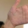 Xiaohongshu Women's Mini Horseshoe Diamond Necklace - Korean & Japanese Simple Style Clavicle Chain
