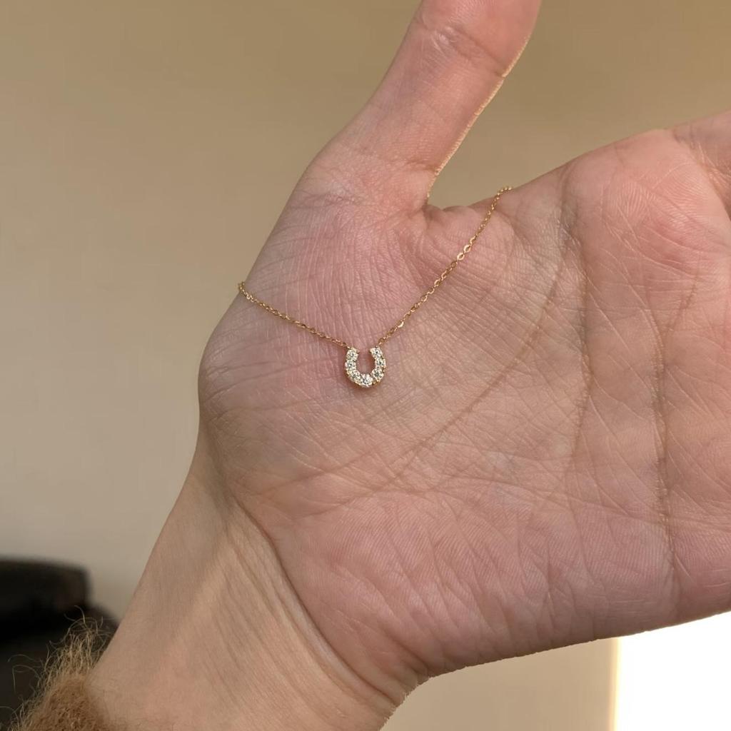 Xiaohongshu Women's Mini Horseshoe Diamond Necklace - Korean & Japanese Simple Style Clavicle Chain
