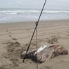 Mazume Surf Rod Stand MZAS-840 Stainless Steel Silver