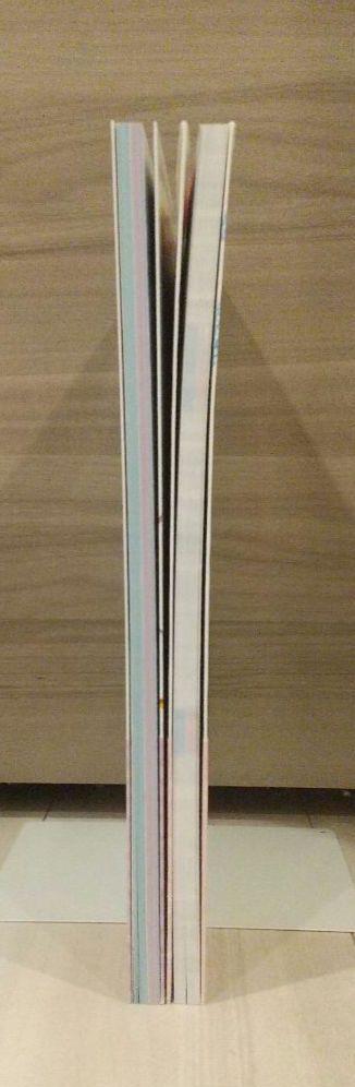 [USED] Art Book: Adult Moe King, More Adult Moe King, 2-Book Set