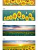 Sunflower Wall Art: Elegant Aluminum Alloy Frame for Living Room Décor