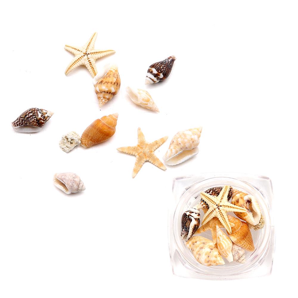 (Nikita) Sea Shell 1BOX Nail Art Rhinestones Glitter Diamond Gems 3D Tips DIY Decoration