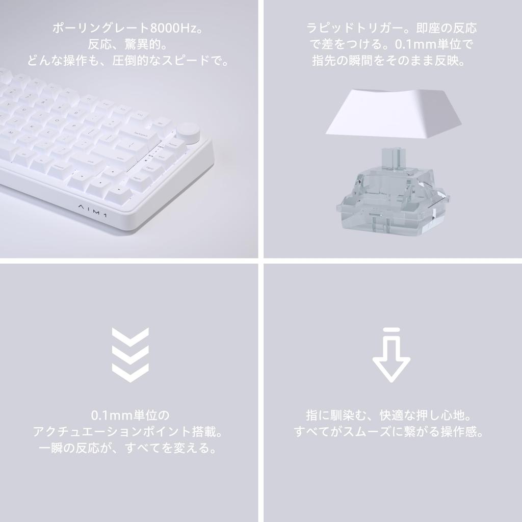 AIM1 Shun MATATAKI Rapid Trigger Gaming Keyboard with 8000Hz Polling English Backlit Magnetic Switches Rate, Layout, Wired, 75% Size, LED,