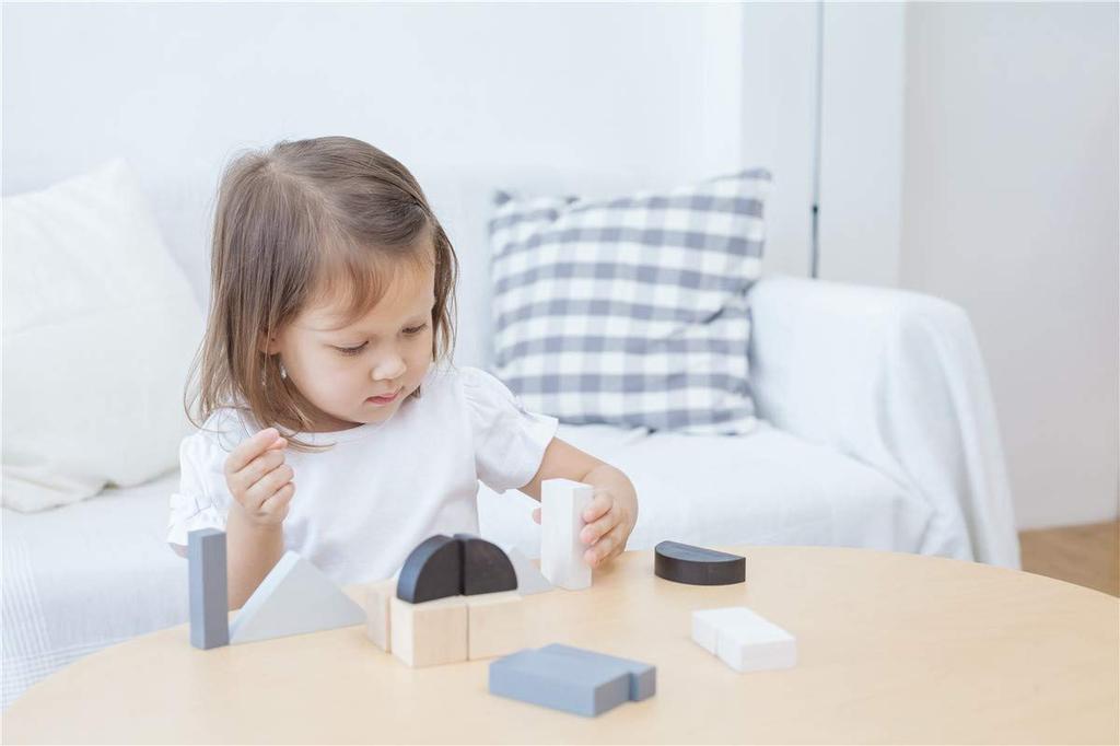 PLANTOYS JAPAN 5371 Fraction Block