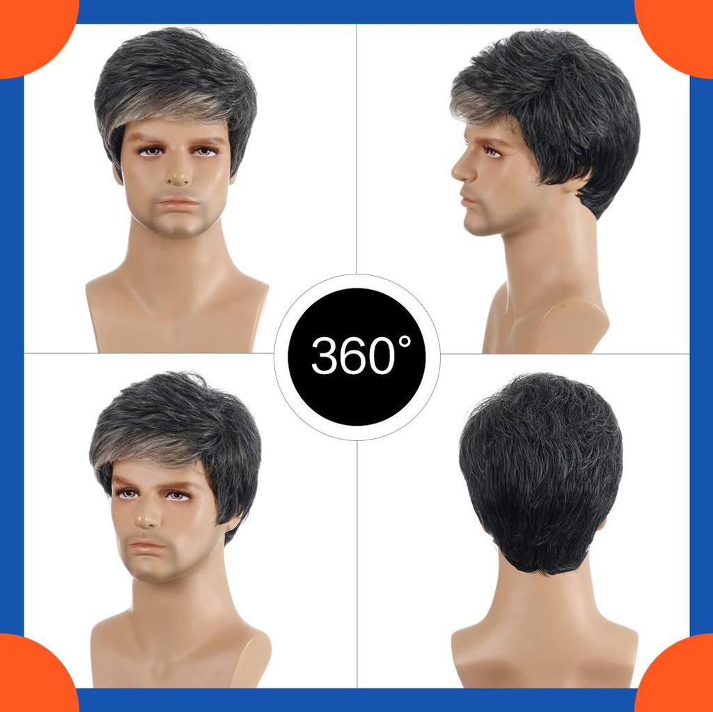 2025 Europäische Mode Kurze Glatte Perücke Für Männer HW740