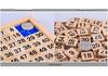 Montessori Wooden 1-100 Number Strip & Sorting Board Educational Toy