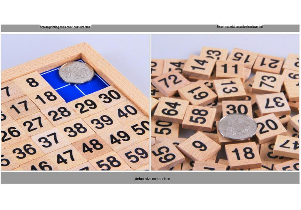 Montessori Wooden 1-100 Number Strip & Sorting Board Educational Toy