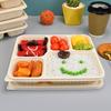 Disposable Degradable Corn Starch 5-Compartment Meal Prep Container