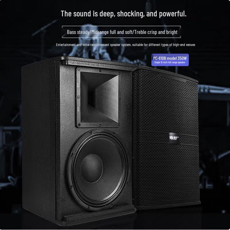 Professional Full-Range Audio Speaker System PC-610