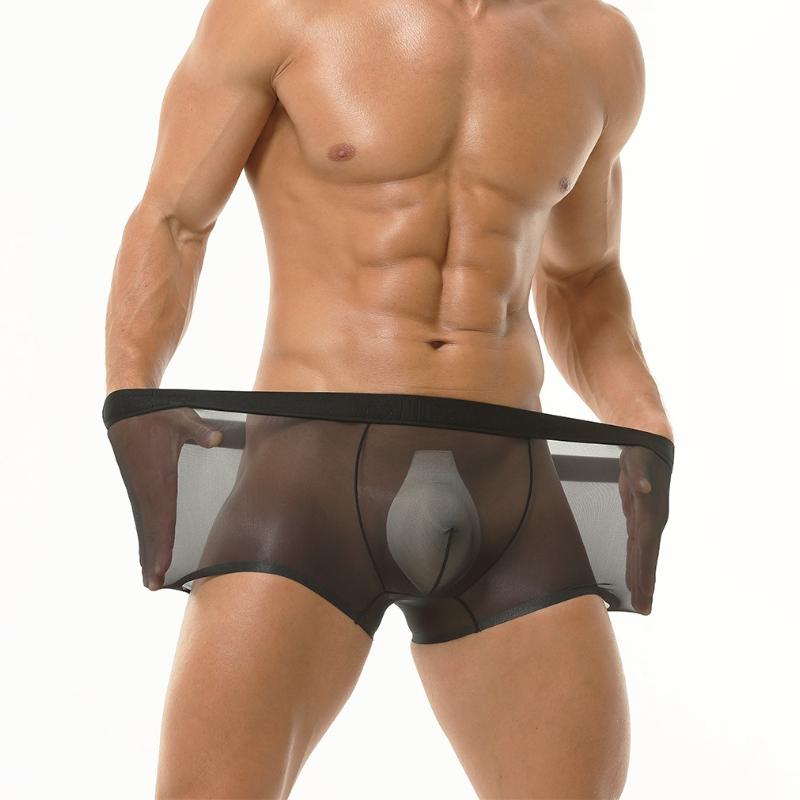 Full Mesh Transprent Underwear Men Sexy Ultra Sheer Boxer Trunks Seamless Underpants Bulge Pouch Panties Male Gay Smooth Knicker
