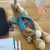 Plush Pencil Pouches School Office Stationeries Supply Bag Pen Box Pencil Case For Kids and Students Desktop Organizers