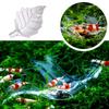 Acrylic Leaf Shape Feeding Bowl For Aquariums Shrimp Crabs Fish Tanks Clear Small Feeder Tray Dish Aquascapes Decoration