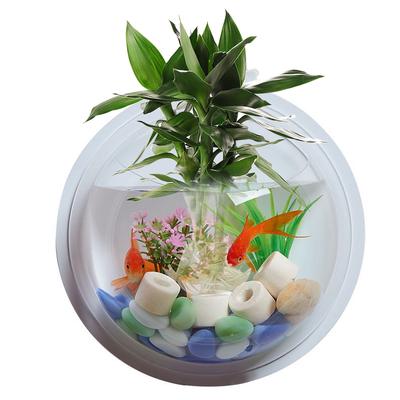 Fish Bowl Acrylic Wall Hanging Tank Aquarium Vase Plant Decorative Flower Pot Transpa Dust At A Low S On Joom E Commerce Platform - Acrylic Wall Vases For Flowers Fish Bowl Acrylic Wall Hanging Tank Aquarium Vase Plant Decorative Flower Pot Transpa Dust At A Low S On Joom E Commerce Platform - Acrylic Wall Vases For Flowers