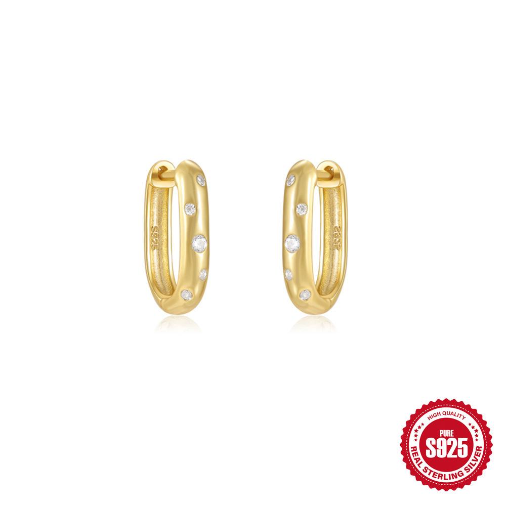 S925 Sterling Silver Ins Design Large Glossy Diamond-Set Double-Layer Water Drop Love Cone-Shaped Premium Ear Buckle Earrings