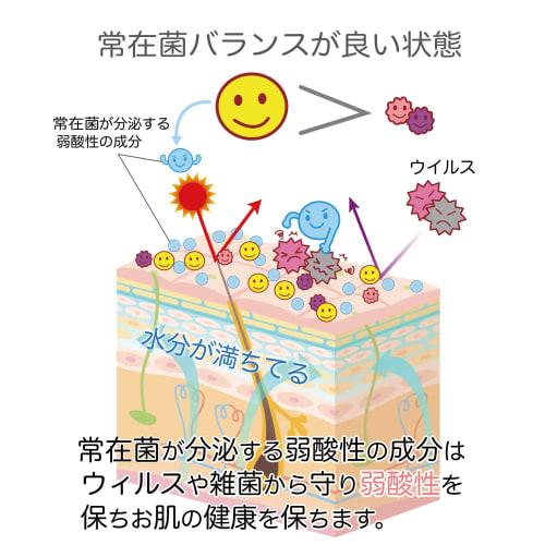 Womanly Organic Feminine Care: A Gentle Cleanser Rich In Hyaluronic Acid for Delicate Areas. No Surfactants or Additives, Gentle On the Skin. Also Sui