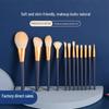 12-Piece Starry Makeup Brush Set: Eyeshadow, Blush, Highlight, Foundation Tools