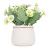 Små konstgjorda krukväxter Mini falska krukväxter Falsk prästkrageprydnad Hem Inomhus Utomhusdekor 7146B 01 Gul med