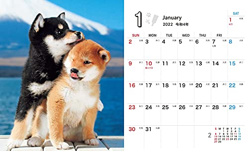 Shiba Inu Weather Mini (Impress Calendar 2022)