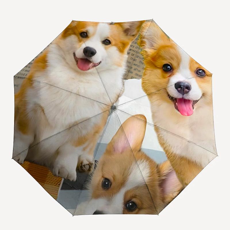 1pc Dogs Pets Automatic Open/Close Umbrella Compact Folding Umbrella, All-Season Portable Umbrella for Women/Men079