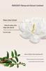 New Ying Tou Cushion Cream: Light, delicate powder with natural hydration, preventing clumps. Ideal for students.