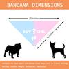 Boy or Girl Gender Reveal Ideas Gifts Dog Bandana Baby Announcement Photo Props Dog Scarf Accessories He or She Gender Reveal Party Decorations for