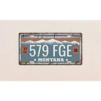 USA Souvenir License Plate, Metal Auto Wall Decor 15x30cm