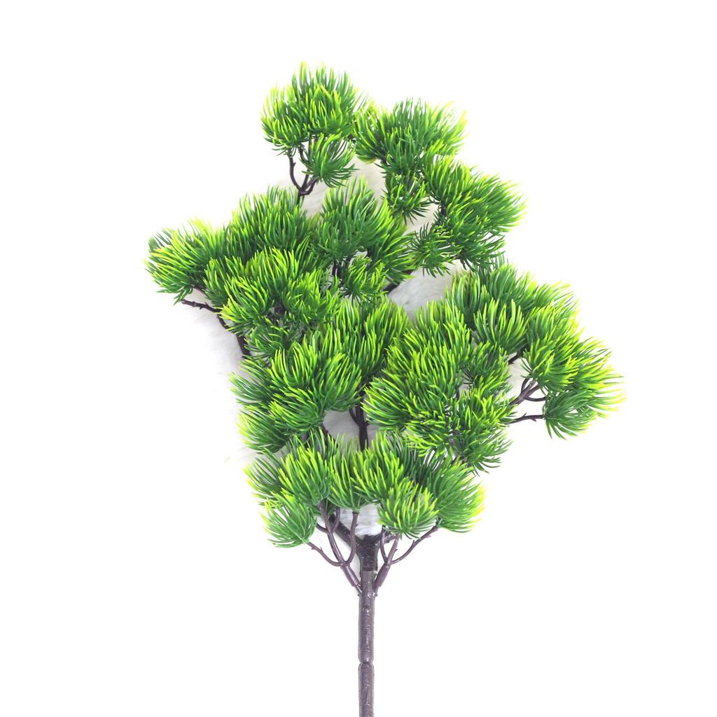 Simulation Of A Single Beauty Pine Branch Fruit Cypress Branch Pine Needle Tree Branch Wukesong Project Matching Plant List
