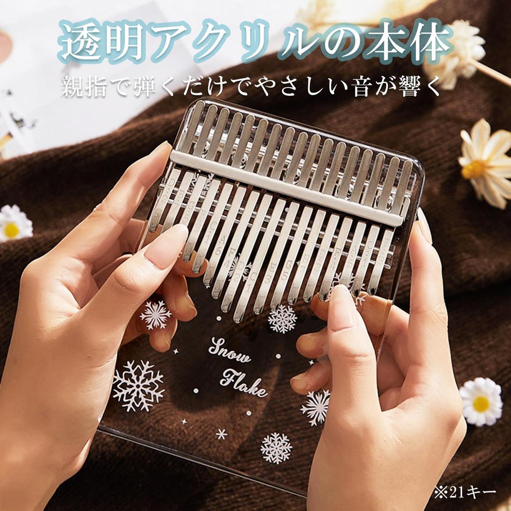 S.T.S.G Kalimba Thumb Piano Finger Piano Beginner Set 10 Keys with Manual and Storage Case Gift