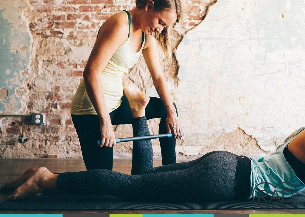 Japanese RAD ROD Extension Stick Size [Official Product] (Flushing) Roller/Regular