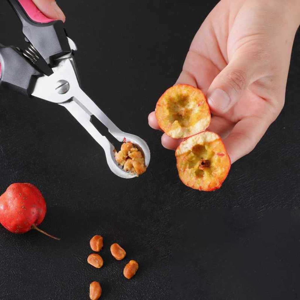 Hawthorn Plier Fruit Core Remove Convenient Multpurpose Separator, Stainless Steel for