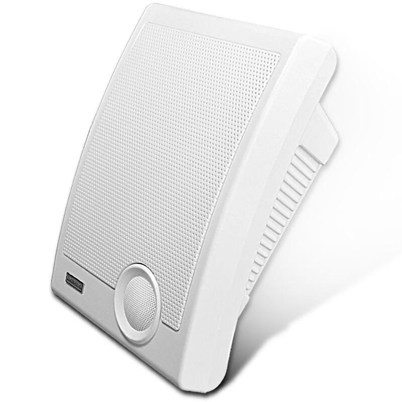 LINGSHENG WS-570 Wall-Mounted PA Speaker CN plug (adapter included)