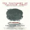 The Testimony of Taliesin Jones by Rhidian Brook Paperback Book 9780241972144
