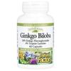 Natural Factors Ginkgo Biloba Capsules, 60 Count