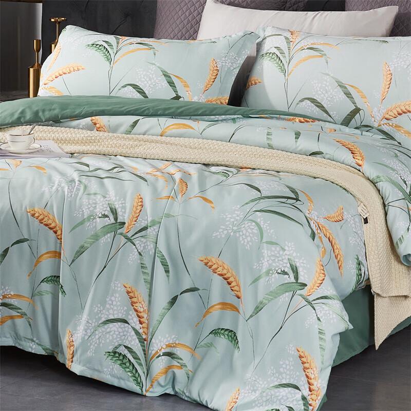 A-TIMES Laurenla Brushed 4-Piece Bedding Set