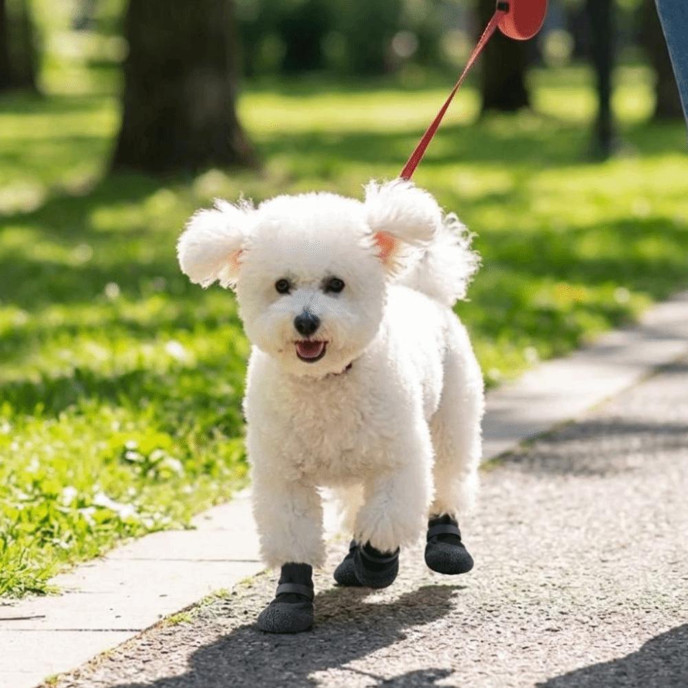 4PCS Waterproof Dog Mesh Shoes Breathable Anti-slip Pet Socks Dog Foot Cover Outdoor Walking