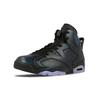 Jordan 6 Retro All-Star Chameleon 2017 GS 907960-015