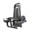 XinZhen Seated Leg Extension & Curl Machine