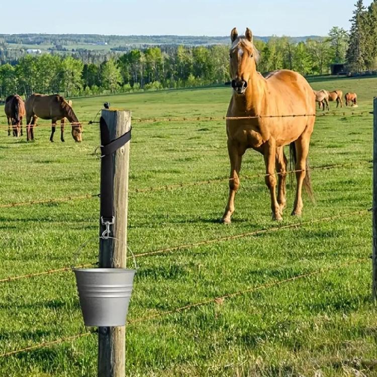 5Pcs Adjustable Horse Stall Bucket Strap Outdoor Feeding Hanging Strap Horse Bucket Straps Hanging Barn Fixed Rope