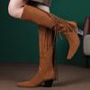 Fashion Fringed Tassels Knee High Boots Winter Women Suede Thick Heels Boots Square Toe Shoes for Women Botas Mujer WSH4710