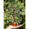 Green Aventurine Crystal Tree Good Luck Showpiece for Home Decor Items Crystals Gemstones Bonsai Money Tree for Good Luck, Decoration Gift Item