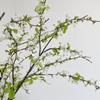 3pcs Artificial Willow Branches Faux Greenery Stems, 34.64Inch Long Stem Twig Greenery Branches Flowers for Tall Vase Home Wedding Office Decor