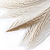 Pheasant Feathers 10 Pieces, White Natural Pheasant Feathers Decorative Chicken Tail Feathers for DIY Crafts, Birthday, Wedding Party Centerpieces,