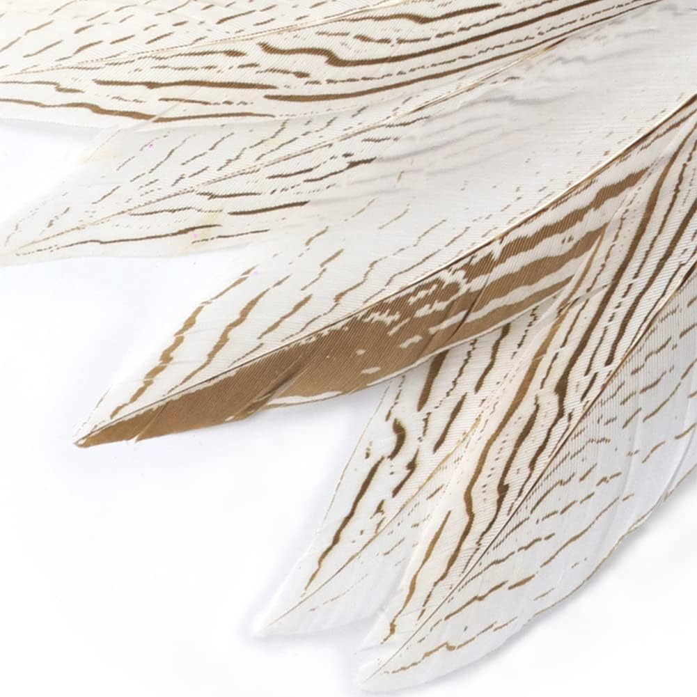 Pheasant Feathers 10 Pieces, White Natural Pheasant Feathers Decorative Chicken Tail Feathers for DIY Crafts, Birthday, Wedding Party Centerpieces,