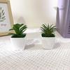 Decorațiuni pentru casă – Flori decorative şi coroane de flori